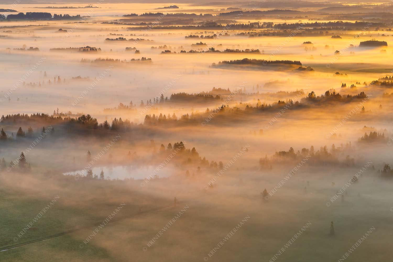 Nebelstimmung im Kochlermoos - Schleiergewand 3:2 -- Morgenstimmung bei Kochel - mehr Infos bei www.Kriner-Weiermann.de