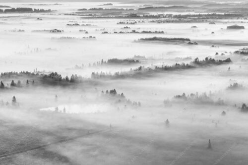 Nebelstimmung im Kochlermoos - Schleiergewand 3:2 sw -- Morgenstimmung bei Kochel - mehr Infos bei www.Kriner-Weiermann.de