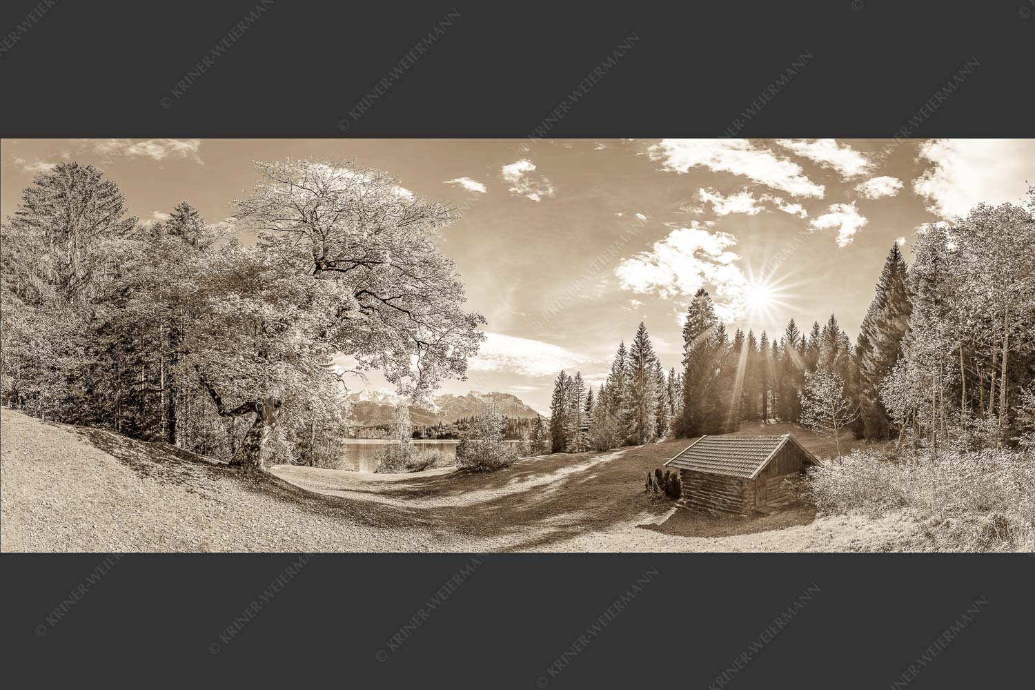 Alter Ahorn am Barmsee - Schönste Plätze 2,5:1 sepia -- Heustadel am Barmsee mit Karwendel - mehr Infos bei www.Kriner-Weiermann.de