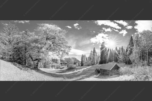 Alter Ahorn am Barmsee - Schönste Plätze 2,5:1 sw -- Heustadel am Barmsee mit Karwendel - mehr Infos bei www.Kriner-Weiermann.de