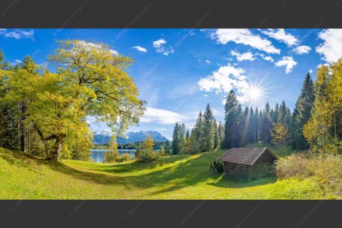 Alter Ahorn am Barmsee - Schönste Plätze 2:1  -- Heustadel am Barmsee mit Karwendel - mehr Infos bei www.Kriner-Weiermann.de