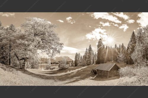 Alter Ahorn am Barmsee - Schönste Plätze 2:1 sepia -- Heustadel am Barmsee mit Karwendel - mehr Infos bei www.Kriner-Weiermann.de