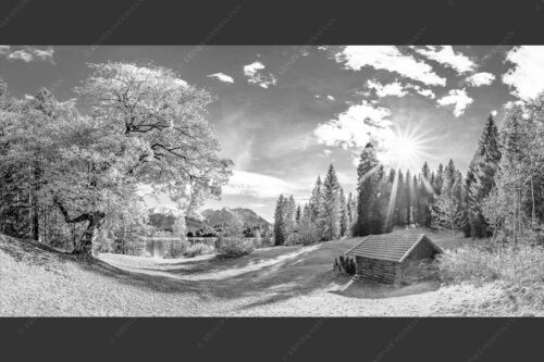 Alter Ahorn am Barmsee - Schönste Plätze 2:1 sw -- Heustadel am Barmsee mit Karwendel - mehr Infos bei www.Kriner-Weiermann.de