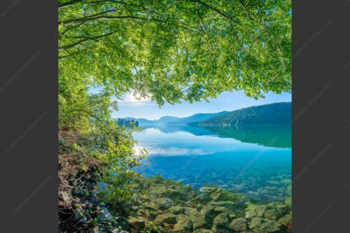 Blick unter einer Buche raus in den Sonnenaufgang am Walchensee - Seebuchen 1:1  -- Walchensee - mehr Infos bei www.Kriner-Weiermann.de