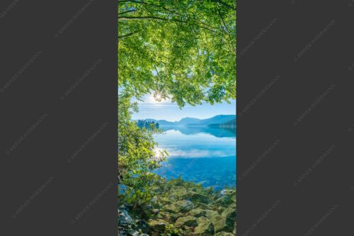 Blick unter einer Buche raus in den Sonnenaufgang am Walchensee - Seebuchen 1:2  -- Walchensee - mehr Infos bei www.Kriner-Weiermann.de