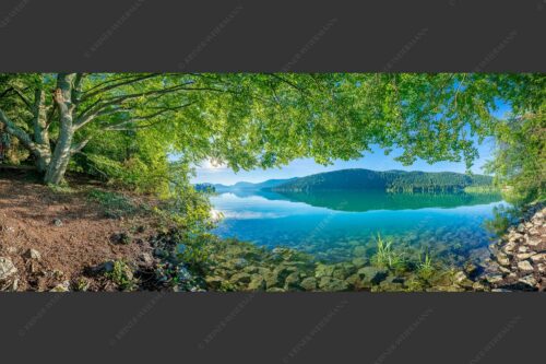 Blick unter einer Buche raus in den Sonnenaufgang am Walchensee - Seebuchen 2,5:1  -- Walchensee - mehr Infos bei www.Kriner-Weiermann.de