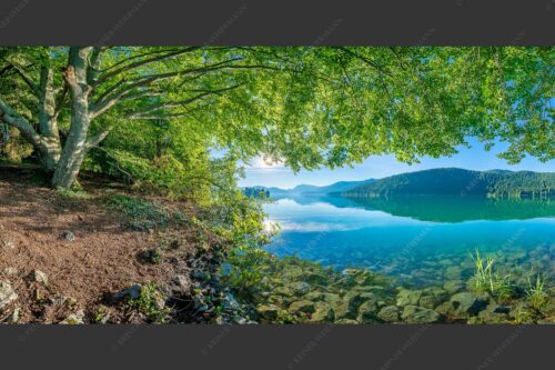 Blick unter einer Buche raus in den Sonnenaufgang am Walchensee - Seebuchen 2:1  -- Walchensee - mehr Infos bei www.Kriner-Weiermann.de