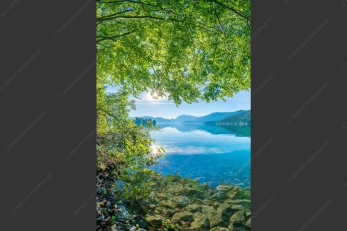 Blick unter einer Buche raus in den Sonnenaufgang am Walchensee - Seebuchen 2:3  -- Walchensee - mehr Infos bei www.Kriner-Weiermann.de