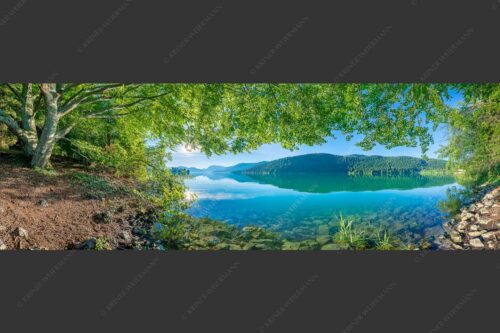 Blick unter einer Buche raus in den Sonnenaufgang am Walchensee - Seebuchen 3:1  -- Walchensee - mehr Infos bei www.Kriner-Weiermann.de