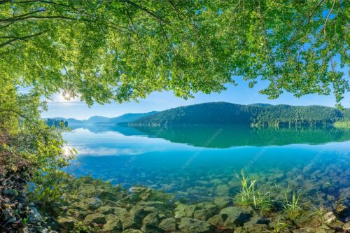Blick unter einer Buche raus in den Sonnenaufgang am Walchensee - Seebuchen 3:2  -- Walchensee - mehr Infos bei www.Kriner-Weiermann.de