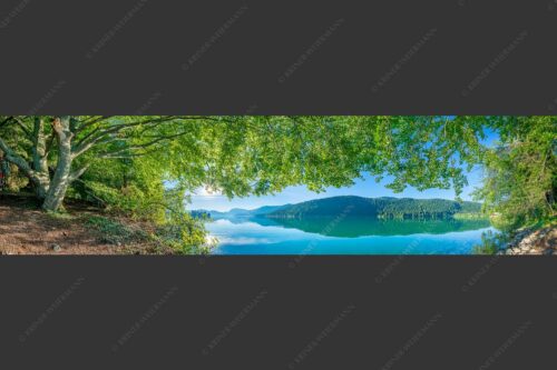 Blick unter einer Buche raus in den Sonnenaufgang am Walchensee - Seebuchen 4:1  -- Walchensee - mehr Infos bei www.Kriner-Weiermann.de