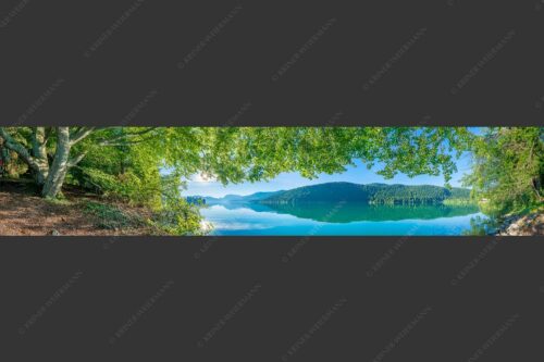 Blick unter einer Buche raus in den Sonnenaufgang am Walchensee - Seebuchen 5:1  -- Walchensee - mehr Infos bei www.Kriner-Weiermann.de
