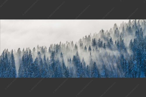 Das flach hereinfallende Licht wirft zauberhafte Schatten in die Baumspitzen - Spitzen 2,5:1  -- Nebelstimmung im Wald - mehr Infos bei www.Kriner-Weiermann.de