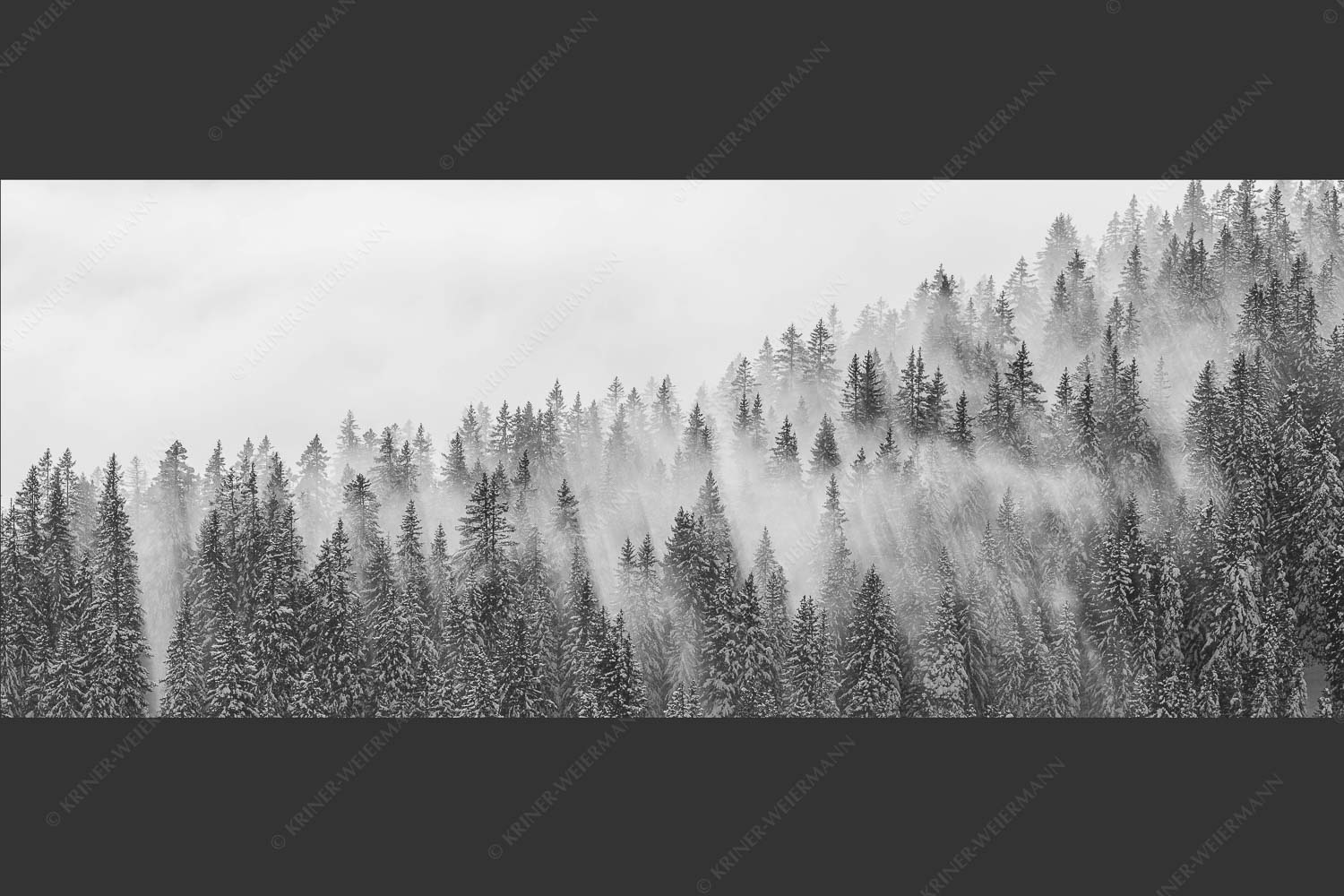 Das flach hereinfallende Licht wirft zauberhafte Schatten in die Baumspitzen - Spitzen 2,5:1 sw -- Nebelstimmung im Wald - mehr Infos bei www.Kriner-Weiermann.de