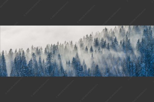 Das flach hereinfallende Licht wirft zauberhafte Schatten in die Baumspitzen - Spitzen 3:1  -- Nebelstimmung im Wald - mehr Infos bei www.Kriner-Weiermann.de