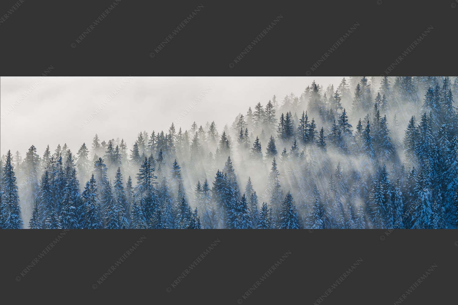 Das flach hereinfallende Licht wirft zauberhafte Schatten in die Baumspitzen - Spitzen 3:1 -- Nebelstimmung im Wald - mehr Infos bei www.Kriner-Weiermann.de