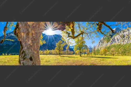 Großer Ahornboden im Karwendelgebirge - Stille Zeugen 3:1  -- Großer Ahornboden Eng - mehr Infos bei www.Kriner-Weiermann.de