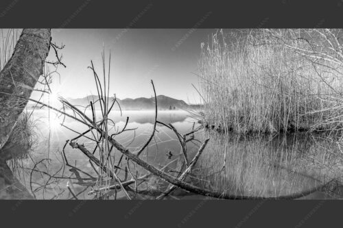 Idylische Ruhe am See - Stiller Morgen am See 2:1 sw -- Sonnenaufgang am Eichsee - mehr Infos bei www.Kriner-Weiermann.de
