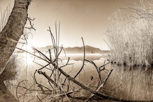 Idylische Ruhe am See - Stiller Morgen am See 3:2 sepia -- Sonnenaufgang am Eichsee - mehr Infos bei www.Kriner-Weiermann.de