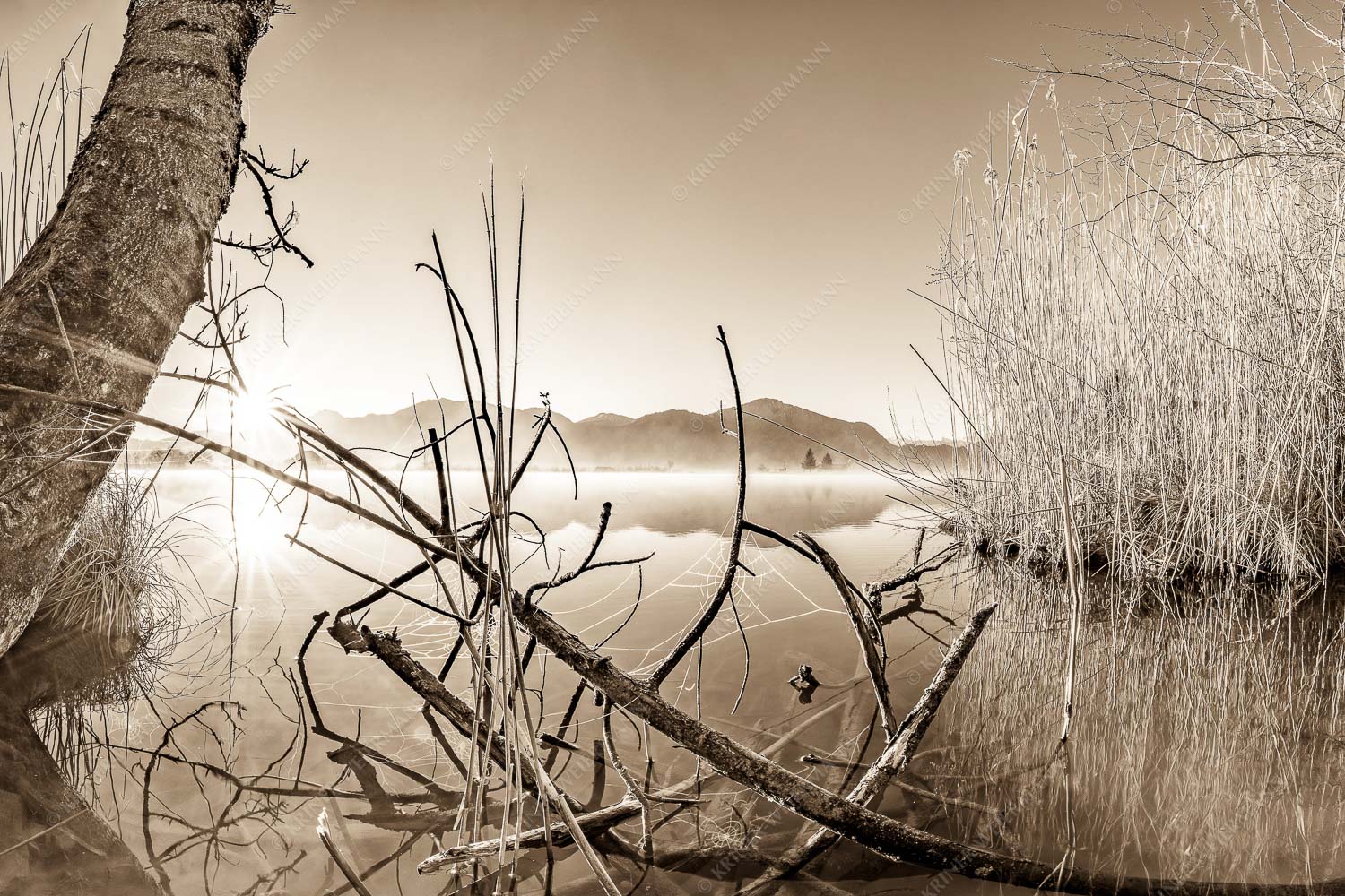 Idylische Ruhe am See - Stiller Morgen am See 3:2 sepia -- Sonnenaufgang am Eichsee - mehr Infos bei www.Kriner-Weiermann.de
