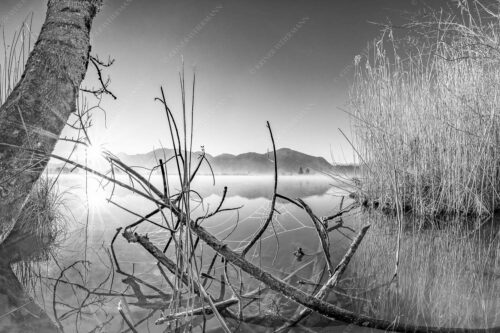 Idylische Ruhe am See - Stiller Morgen am See 3:2 sw -- Sonnenaufgang am Eichsee - mehr Infos bei www.Kriner-Weiermann.de