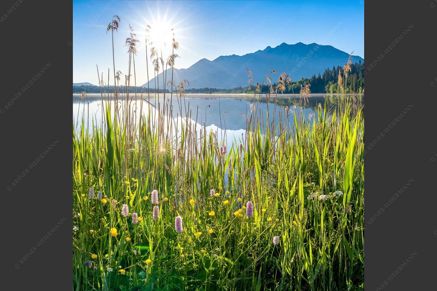 Blick übern Barmsee zum Soierngebirge - Strahlkraft 1:1  -- Barmseeufer mit Soierngebirge - mehr Infos bei www.Kriner-Weiermann.de