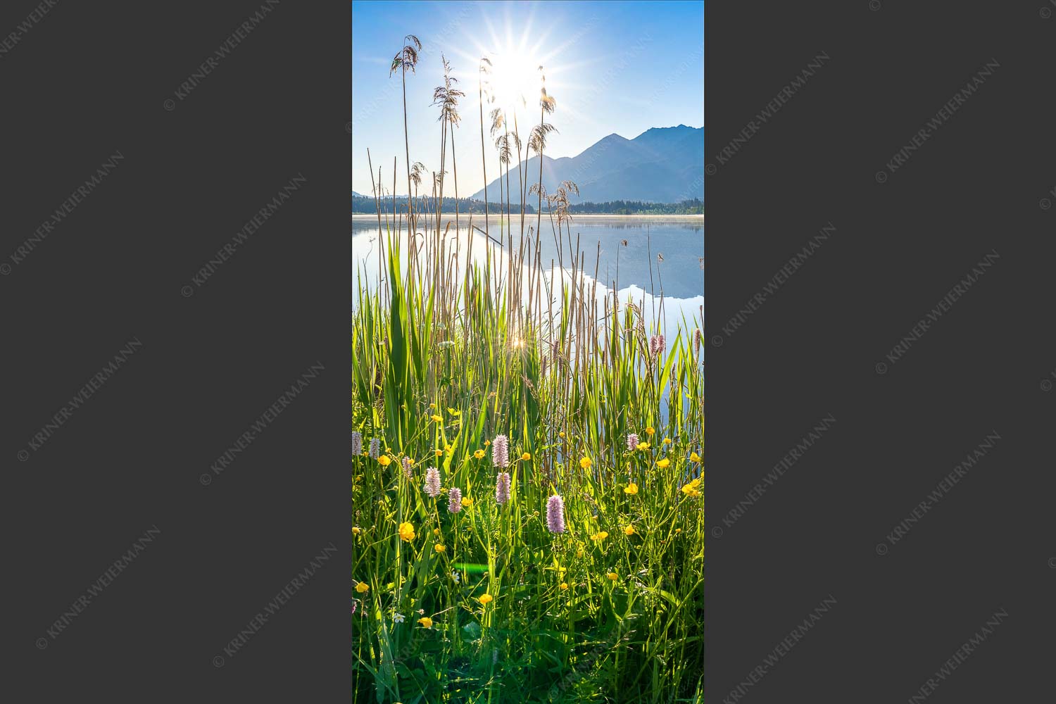 Blick übern Barmsee zum Soierngebirge - Strahlkraft 1:2  -- Barmseeufer mit Soierngebirge - mehr Infos bei www.Kriner-Weiermann.de