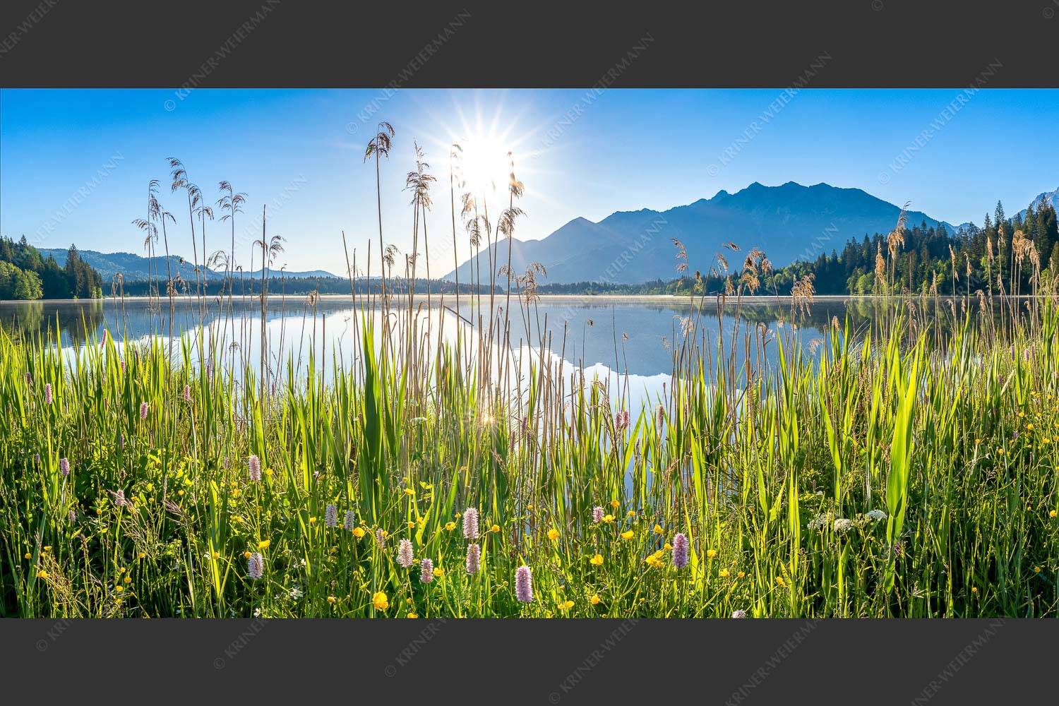 Blick übern Barmsee zum Soierngebirge - Strahlkraft 2:1  -- Barmseeufer mit Soierngebirge - mehr Infos bei www.Kriner-Weiermann.de