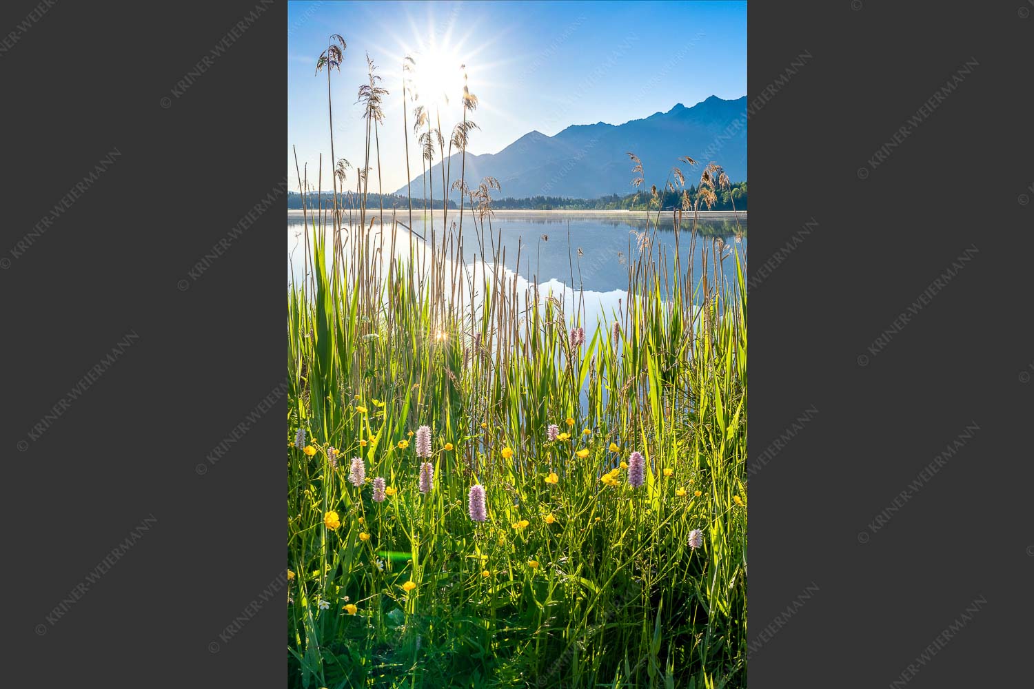 Blick übern Barmsee zum Soierngebirge - Strahlkraft 2:3  -- Barmseeufer mit Soierngebirge - mehr Infos bei www.Kriner-Weiermann.de