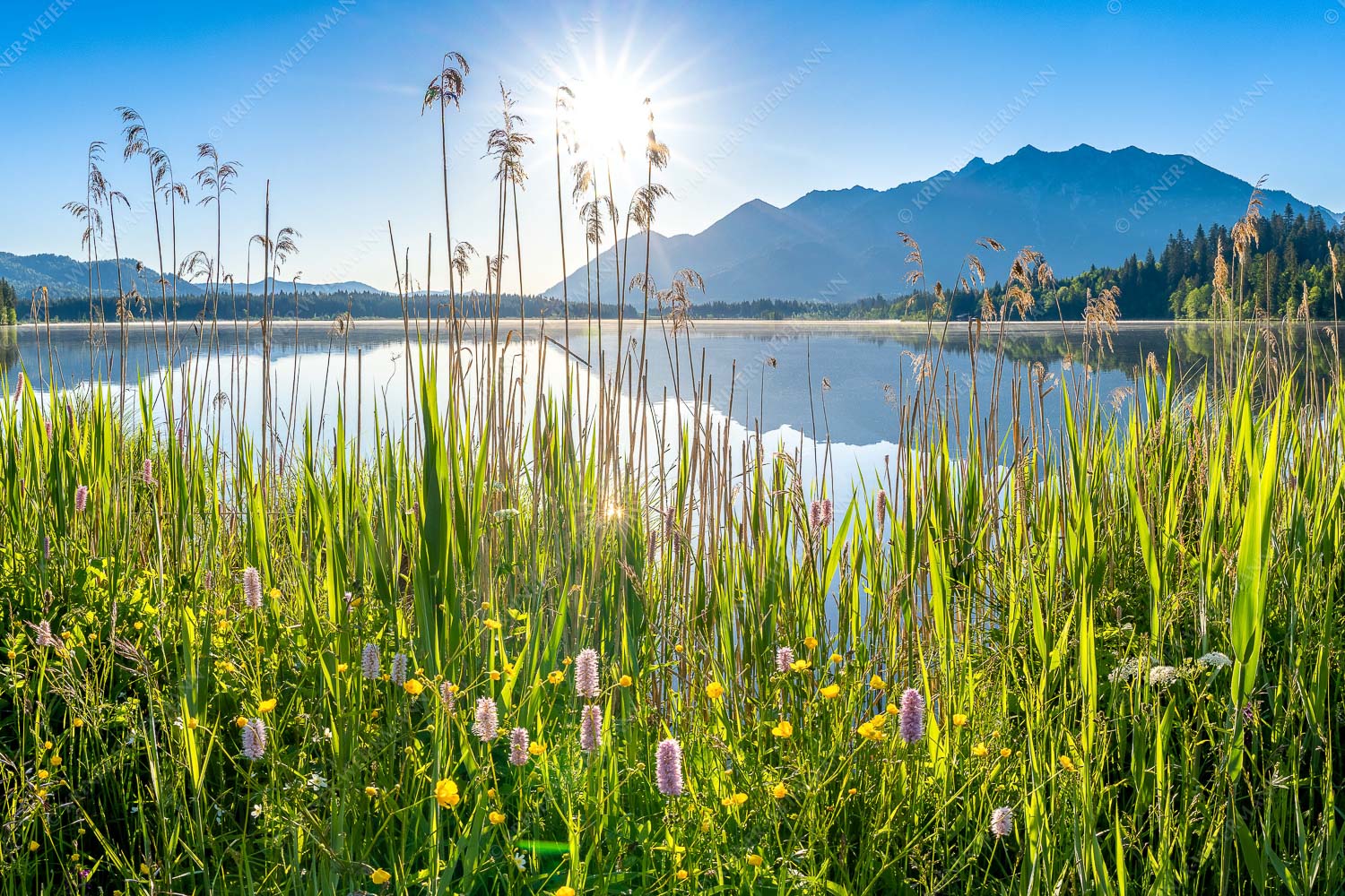 Blick übern Barmsee zum Soierngebirge - Strahlkraft 3:2  -- Barmseeufer mit Soierngebirge - mehr Infos bei www.Kriner-Weiermann.de