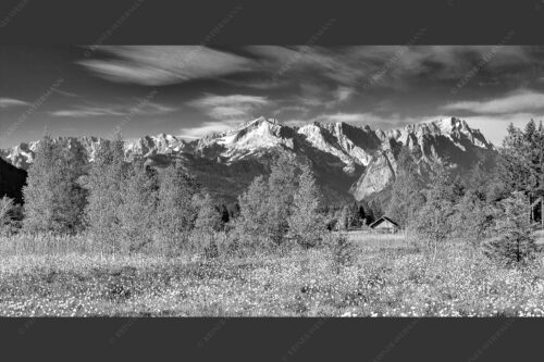 Wollgras zwischen Oberau und Farchant mit Blick auf Zufspitzmassiv - Werdenfelsblick 2:1 sw -- Loisachtal mit Alpspitze - mehr Infos bei www.Kriner-Weiermann.de