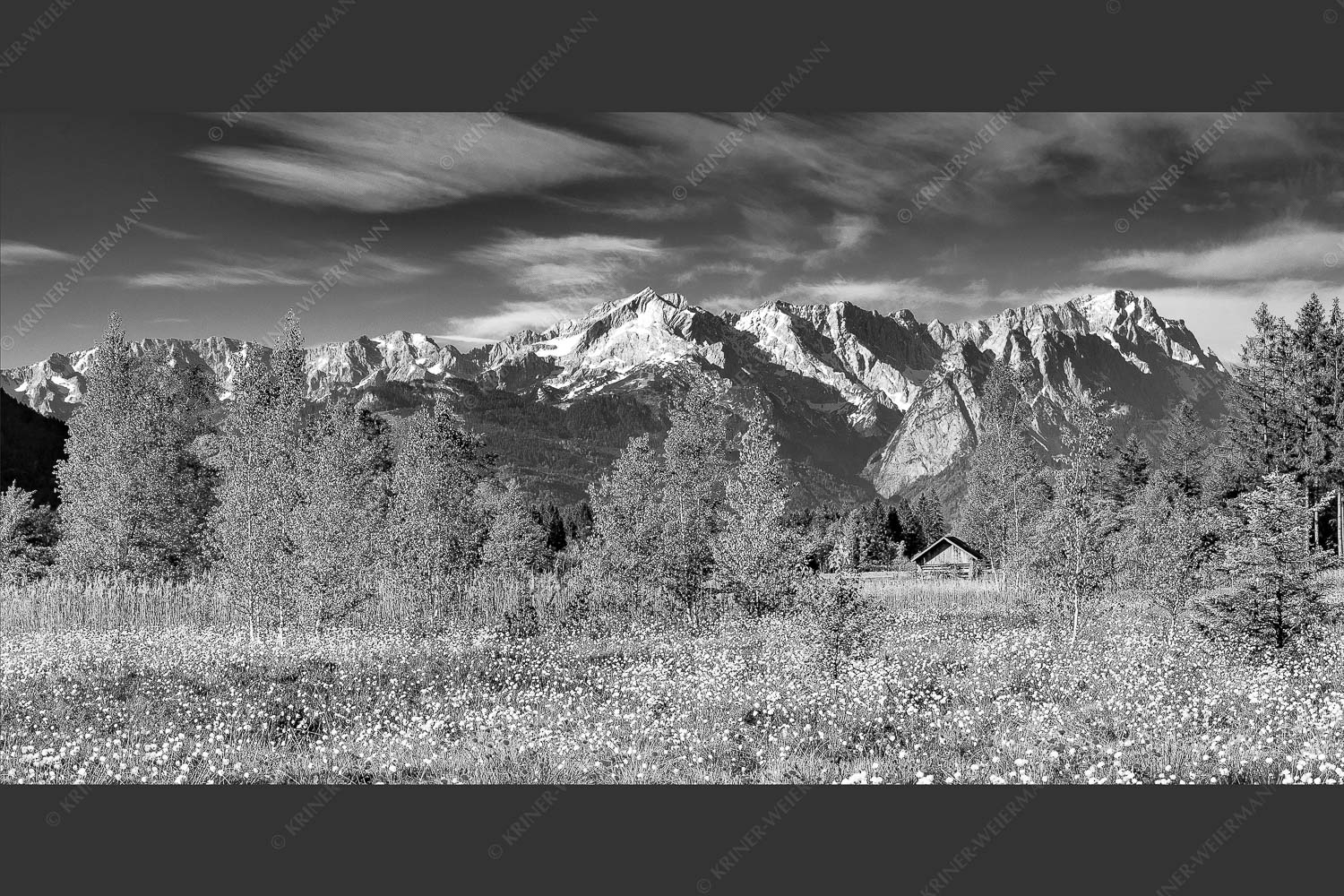 Wollgras zwischen Oberau und Farchant mit Blick auf Zufspitzmassiv - Werdenfelsblick 2:1 sw -- Loisachtal mit Alpspitze - mehr Infos bei www.Kriner-Weiermann.de