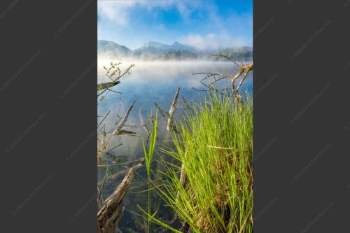 Blick über Barmsee zum Karwendelgebirge - Wildes Ufer 2:3  -- Nebel am Barmsee mit Karwendel - mehr Infos bei www.Kriner-Weiermann.de