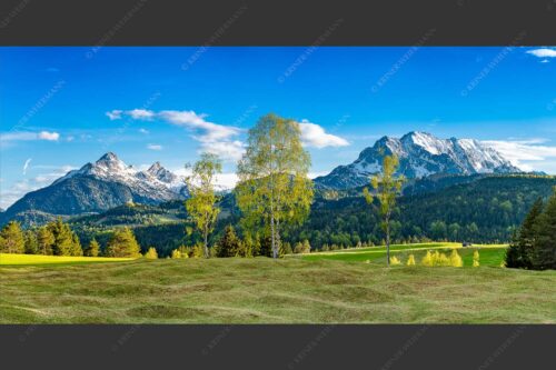 Buckelwiesen bei Mittenwald mit Blick zum Wetterstein und den Arnspitzen - Wohlklang 2:1  -- Arnspitzen und Wettersteinspitze - mehr Infos bei www.Kriner-Weiermann.de