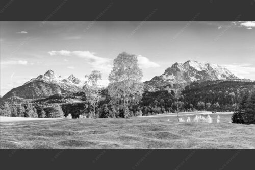 Buckelwiesen bei Mittenwald mit Blick zum Wetterstein und den Arnspitzen - Wohlklang 2:1 sw -- Arnspitzen und Wettersteinspitze - mehr Infos bei www.Kriner-Weiermann.de