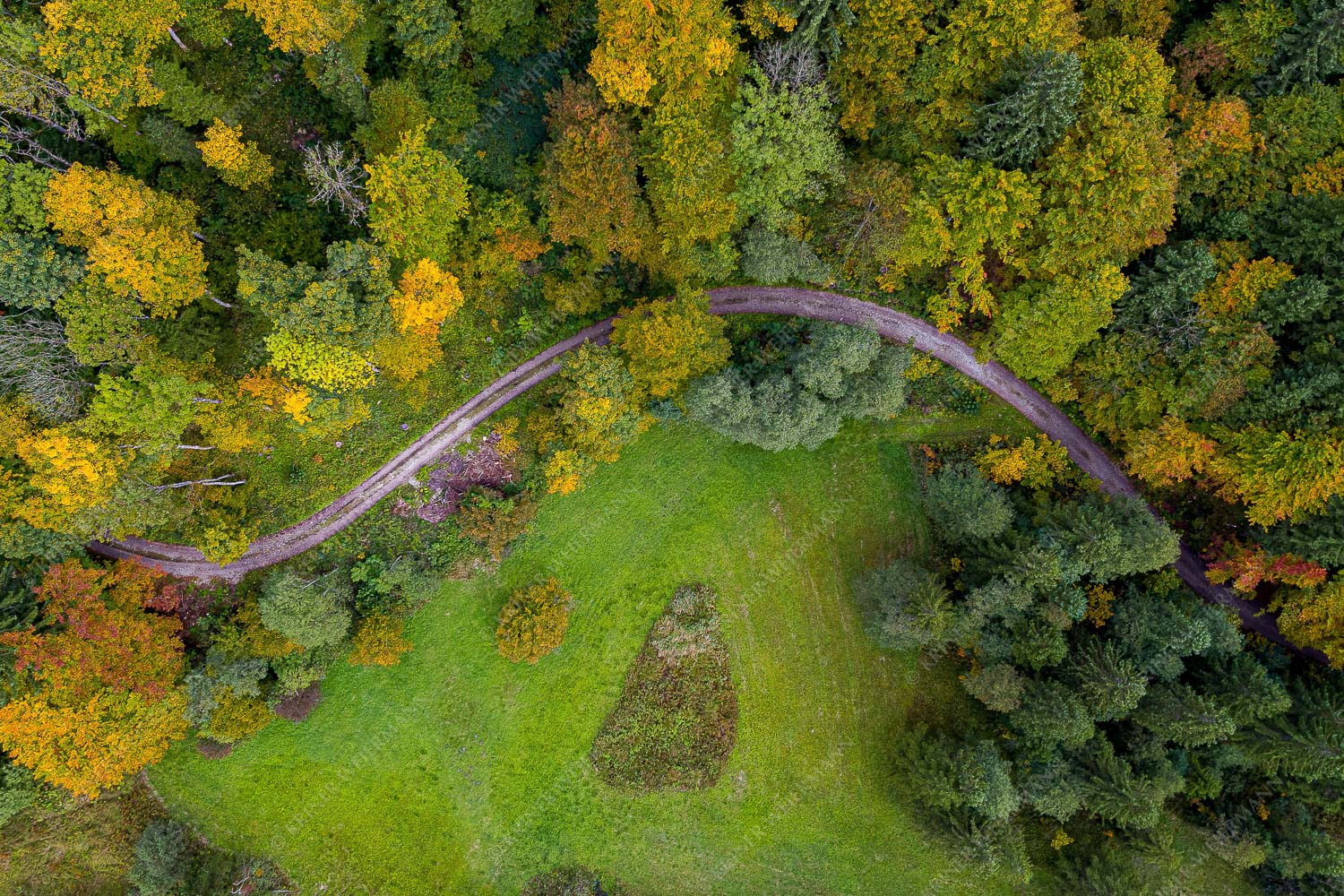 Herbstwald im Ammergau - Abgerundet 3:2  -- Weg und Wald von Oben - mehr Infos bei www.Kriner-Weiermann.de