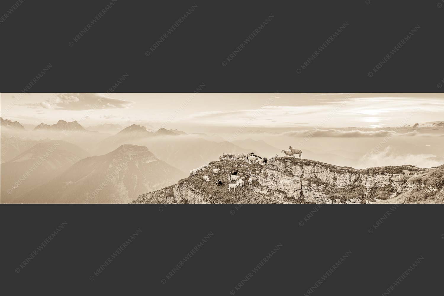 Bergschafe am Schafreiter im Karwendel bei Sonnenuntergang - Alle Schäfchen beisammen II 4:1 sepia -- Schafe im Karwendel - mehr Infos bei www.Kriner-Weiermann.de