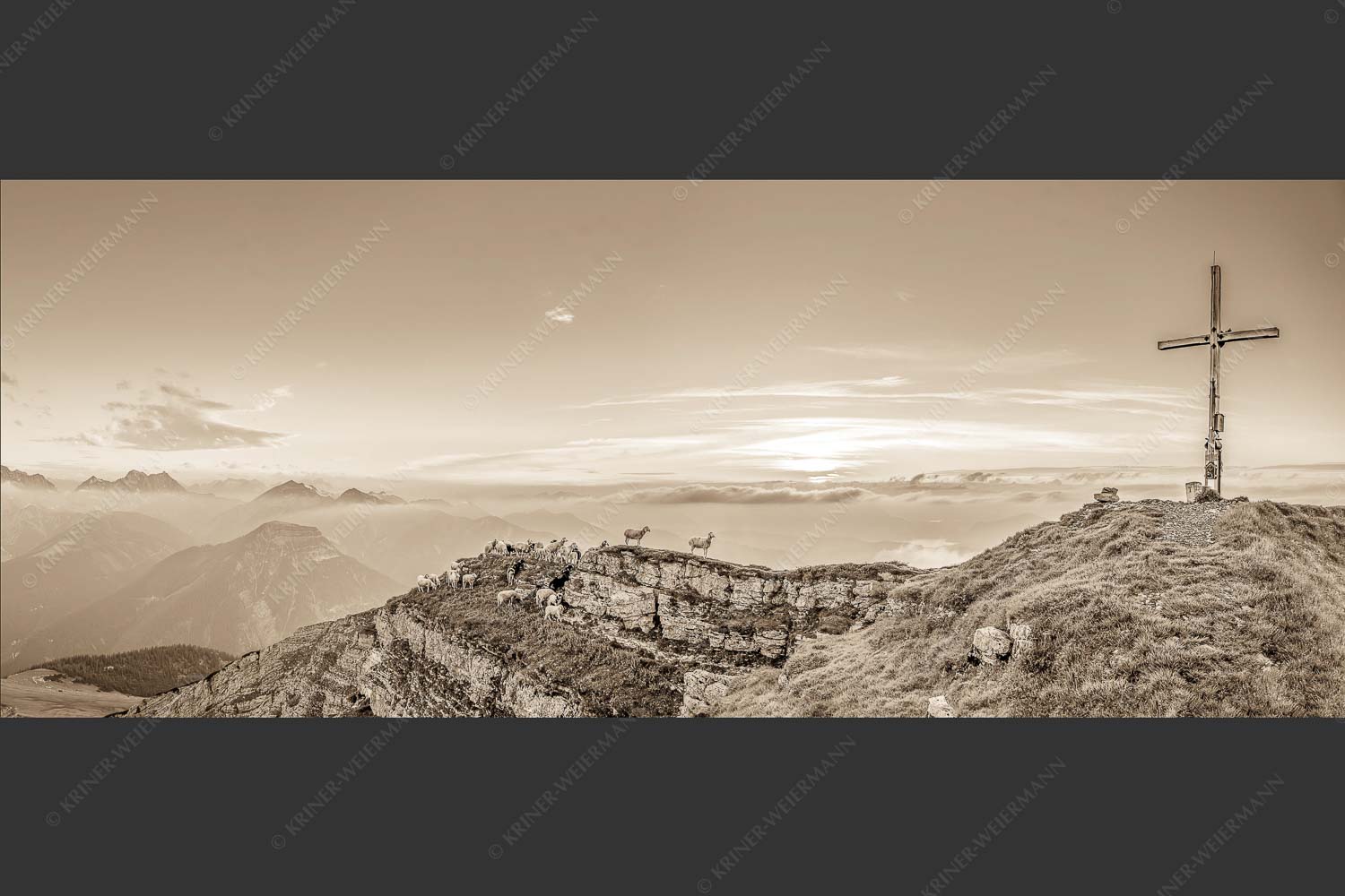 Bergschafe am Gipfel des Schafreiter im Karwendelgebirge bei Sonnenuntergang - Alle Schäfchen beisammen 2,5:1 sepia -- Schafe am Schafreiter im Karwendel - mehr Infos bei www.Kriner-Weiermann.de
