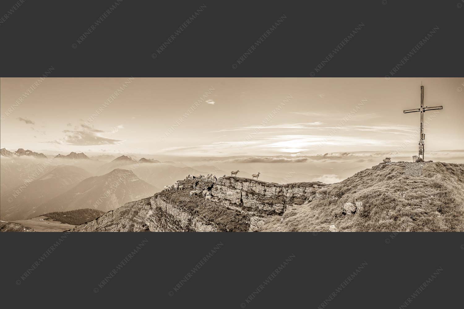 Bergschafe am Gipfel des Schafreiter im Karwendelgebirge bei Sonnenuntergang - Alle Schäfchen beisammen 3:1 sepia -- Schafe am Schafreiter im Karwendel - mehr Infos bei www.Kriner-Weiermann.de