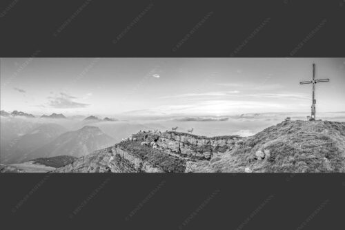 Bergschafe am Gipfel des Schafreiter im Karwendelgebirge bei Sonnenuntergang - Alle Schäfchen beisammen 3:1 sw -- Schafe am Schafreiter im Karwendel - mehr Infos bei www.Kriner-Weiermann.de