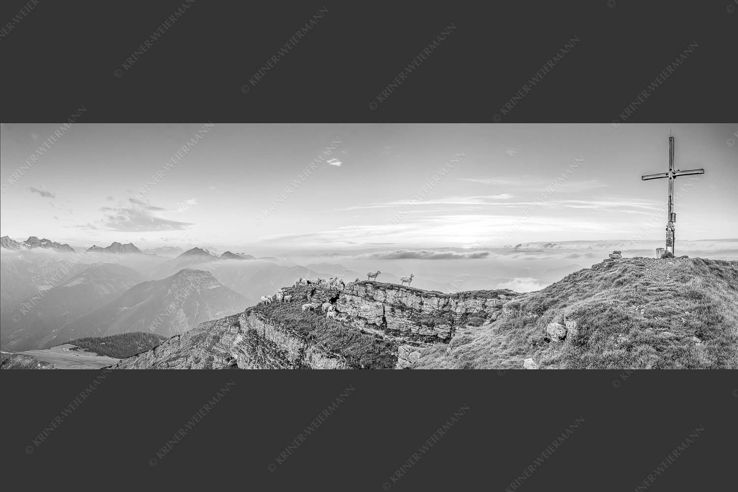 Bergschafe am Gipfel des Schafreiter im Karwendelgebirge bei Sonnenuntergang - Alle Schäfchen beisammen 3:1 sw -- Schafe am Schafreiter im Karwendel - mehr Infos bei www.Kriner-Weiermann.de