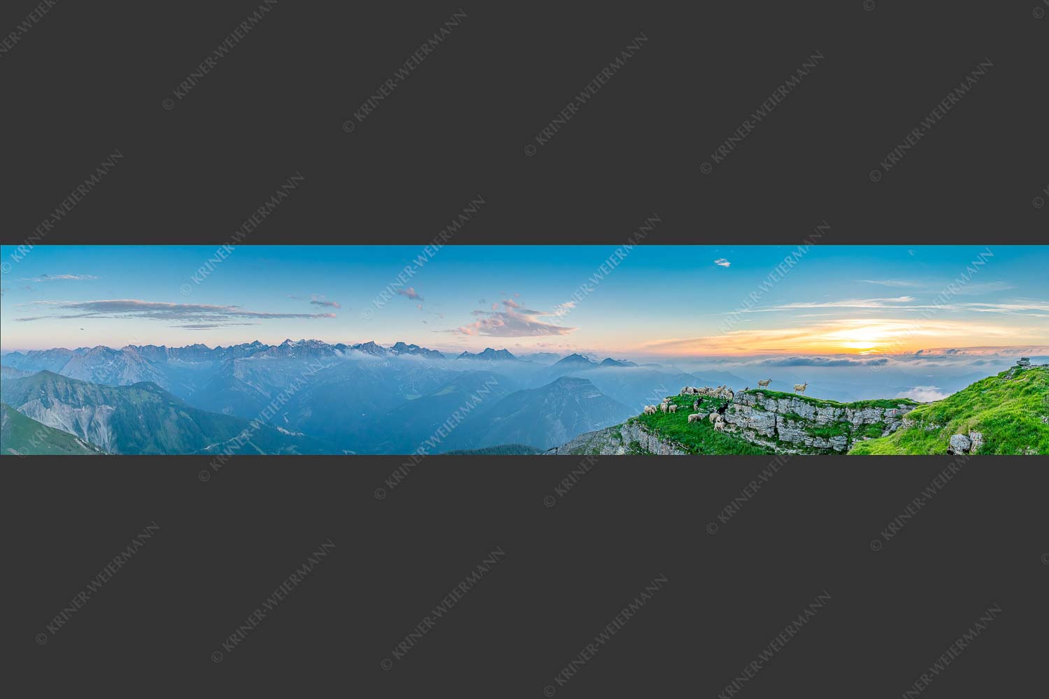 Bergschafe am Gipfel des Schafreiter im Karwendelgebirge bei Sonnenuntergang - Alle Schäfchen beisammen 5:1 -- Schafe am Schafreiter im Karwendel - mehr Infos bei www.Kriner-Weiermann.de