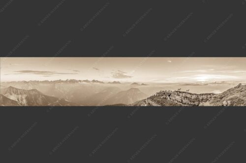 Bergschafe am Gipfel des Schafreiter im Karwendelgebirge bei Sonnenuntergang - Alle Schäfchen beisammen 5:1 sepia -- Schafe am Schafreiter im Karwendel - mehr Infos bei www.Kriner-Weiermann.de