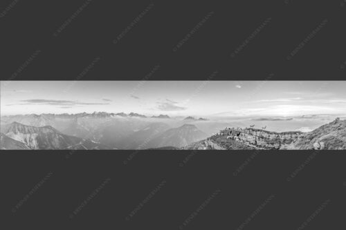 Bergschafe am Gipfel des Schafreiter im Karwendelgebirge bei Sonnenuntergang - Alle Schäfchen beisammen 5:1 sw -- Schafe am Schafreiter im Karwendel - mehr Infos bei www.Kriner-Weiermann.de