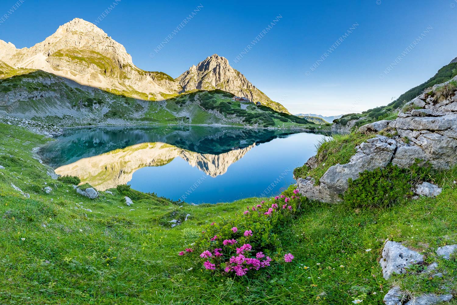 Almröserl am Drachensee mit Coburger Hütte im Mieminger Gebirge - Almröserl am Drachensee II 3:2  -- Coburger Hütte - mehr Infos bei www.Kriner-Weiermann.de