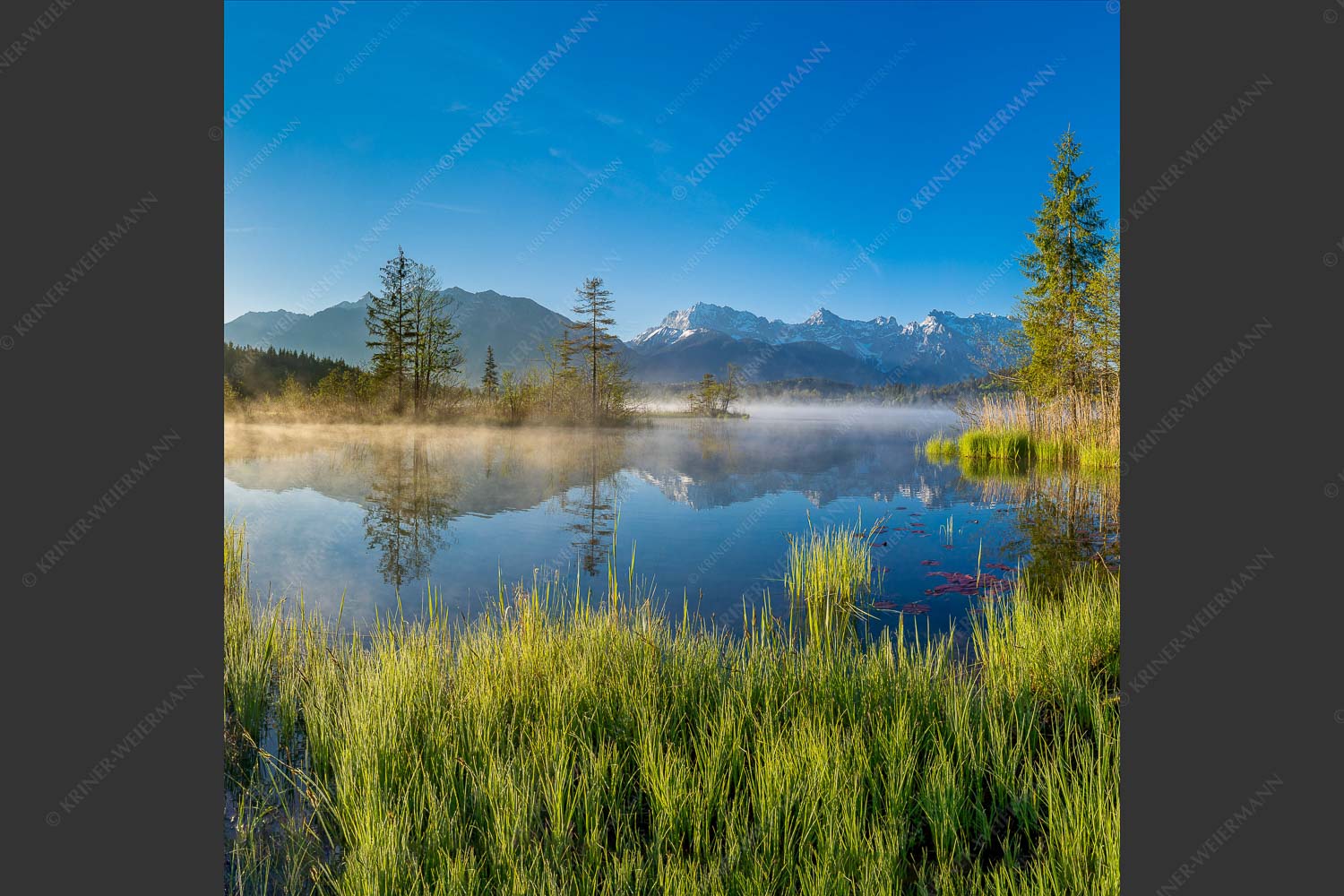 Sonnenaufgang am Barmsee mit Blick zum Karwendelgebirge - Am Barmsee 1:1  -- Karwendelblick - mehr Infos bei www.Kriner-Weiermann.de