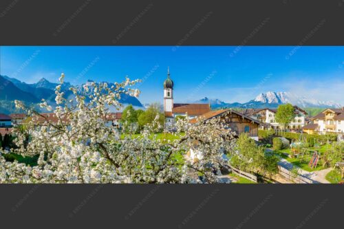 Kirche St. Sebastian in Krün mit Wetterstein- und Karwendelgebirge - Apfelblüte in Krün 2,5:1  -- Kirche in Krün Karwendel und Wetterstein - mehr Infos bei www.Kriner-Weiermann.de