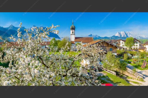 Kirche St. Sebastian in Krün mit Wetterstein- und Karwendelgebirge - Apfelblüte in Krün 2:1  -- Kirche in Krün Karwendel und Wetterstein - mehr Infos bei www.Kriner-Weiermann.de
