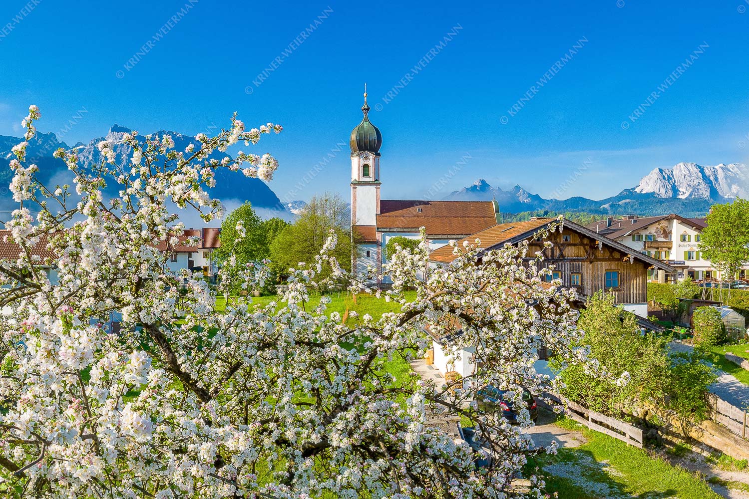 Kirche St. Sebastian in Krün mit Wetterstein- und Karwendelgebirge - Apfelblüte in Krün 3:2 -- Kirche in Krün Karwendel und Wetterstein - mehr Infos bei www.Kriner-Weiermann.de