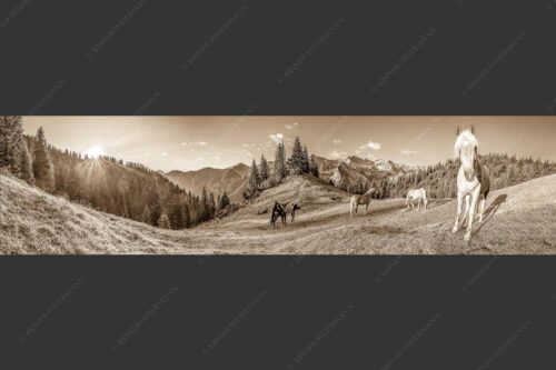 Haflinger Pferde mit Soiernspitze im Soierngebirge - Aufgeweckt 4:1 sepia -- Pferde im Soierngebirge - mehr Infos bei www.Kriner-Weiermann.de